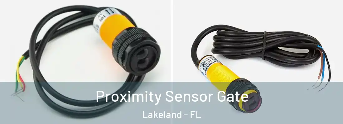 Proximity Sensor Gate Lakeland - FL